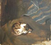 Sleeping cat by Paul Raud Paul Raud